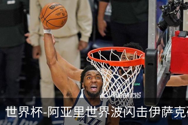 世界杯-阿亚里世界波闪击伊萨克破门 半场瑞典2-1突尼斯